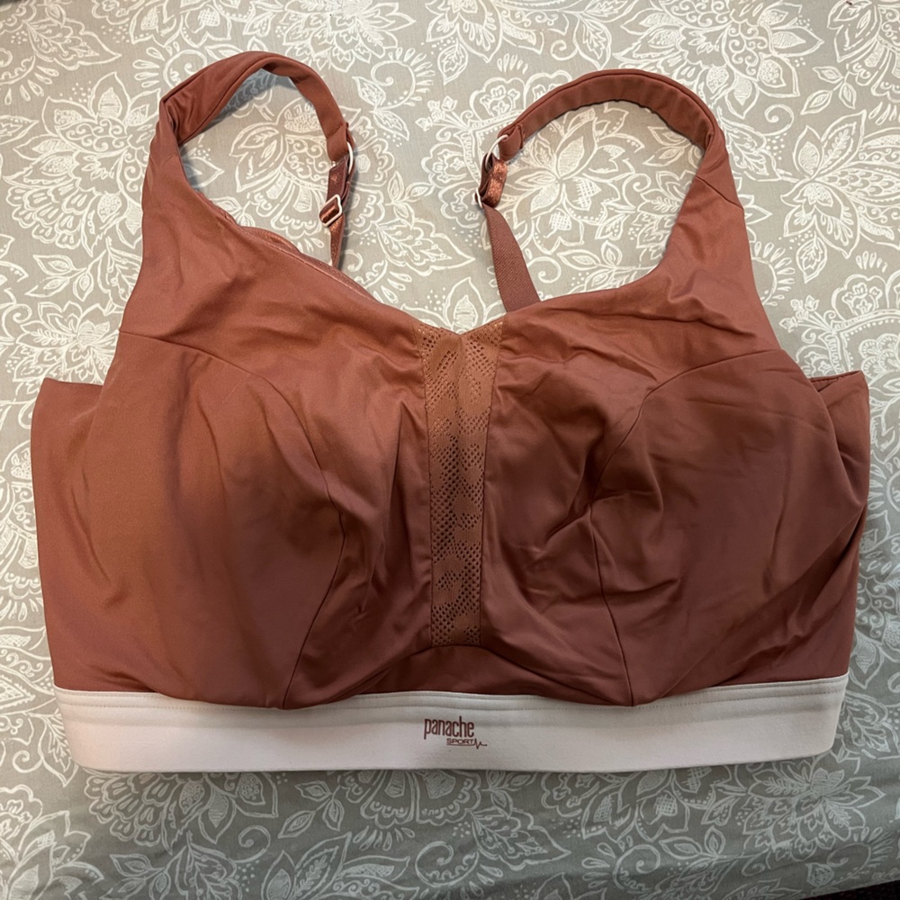 Panache Endurance Sports Bra - 40GG/J -pink